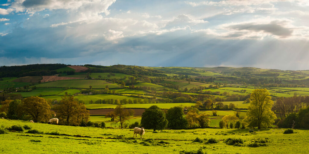 Website background image