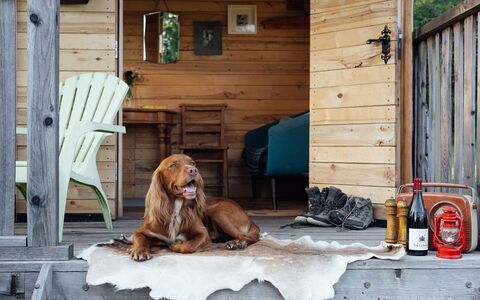 Dog on front porch resized 9e9ff92c0b028110d3140fd386945c76