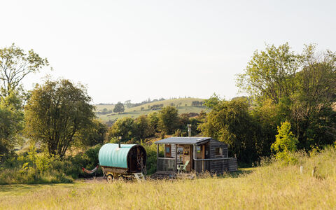 The Forge Bluebell Corner 005 9e9ff92c0b028110d3140fd386945c76