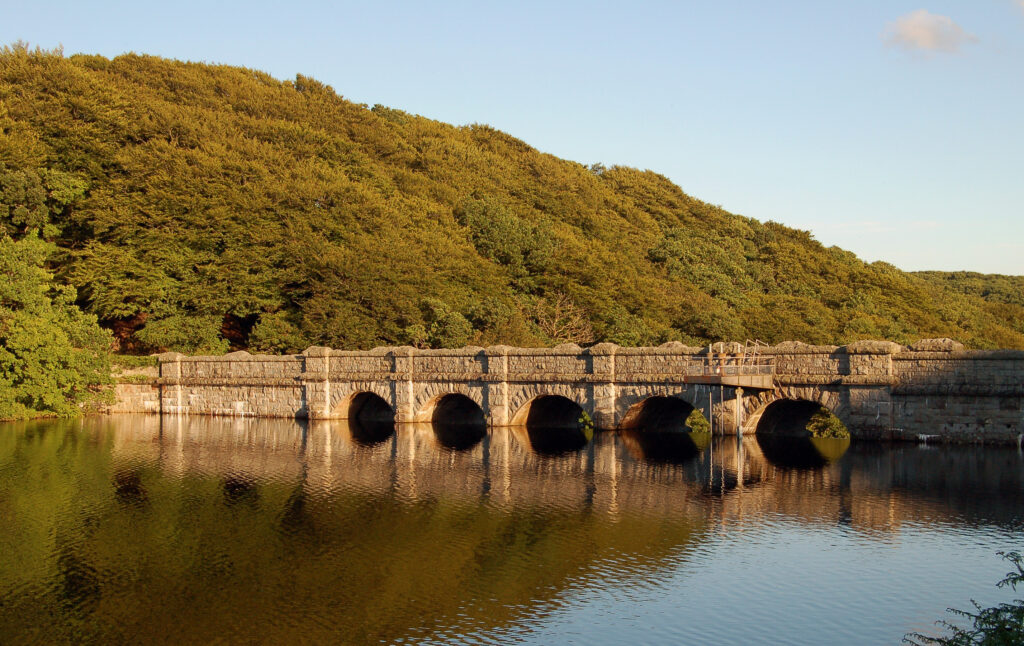Burrator Reservoir