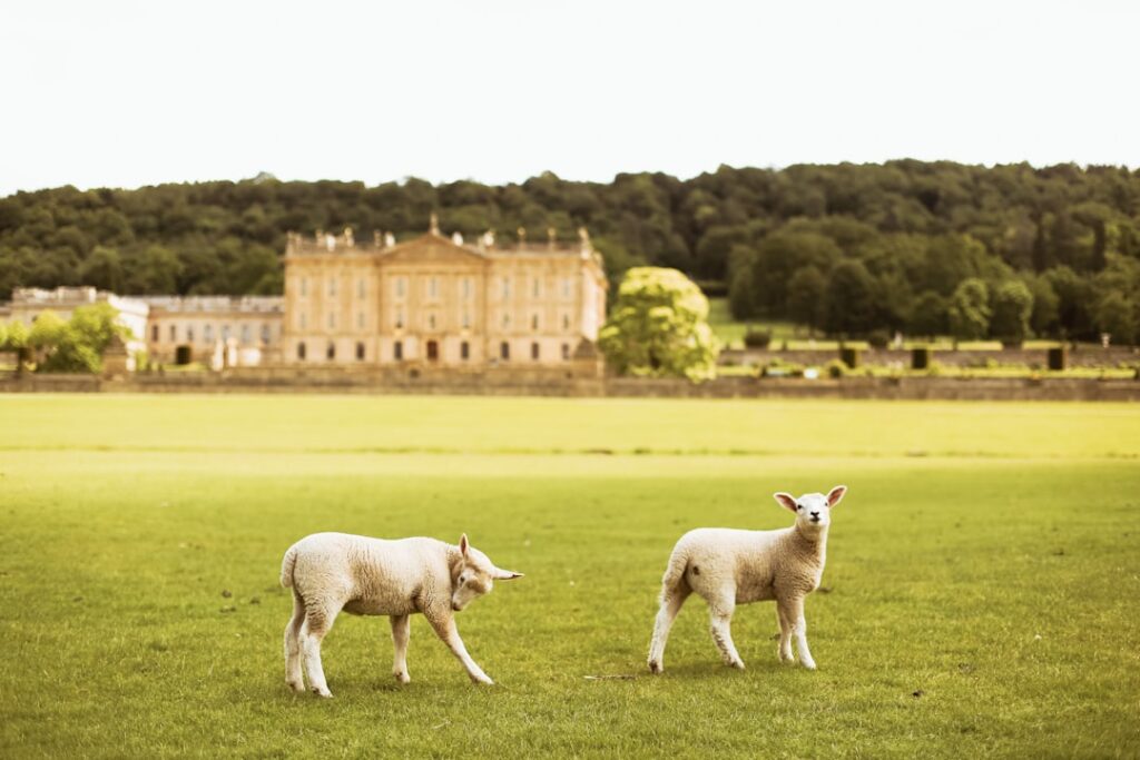 Chatsworth House
