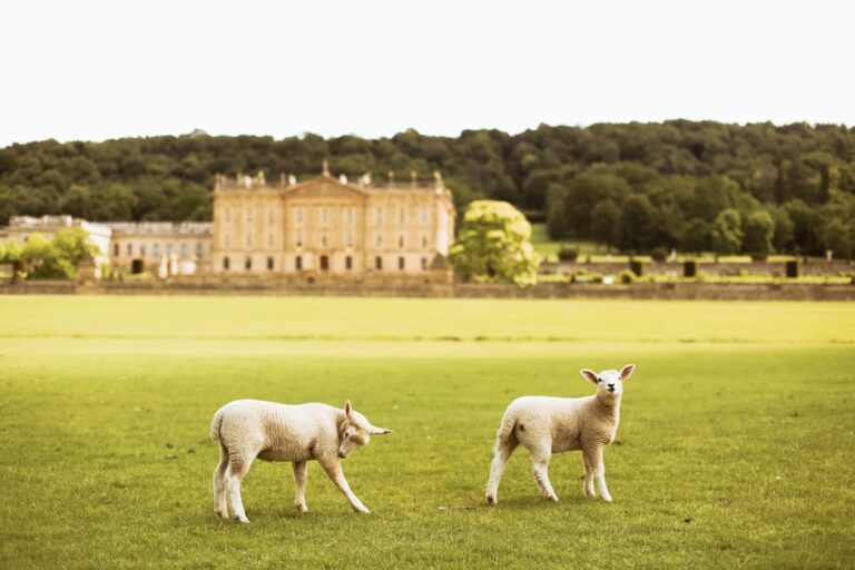 Chatsworth House