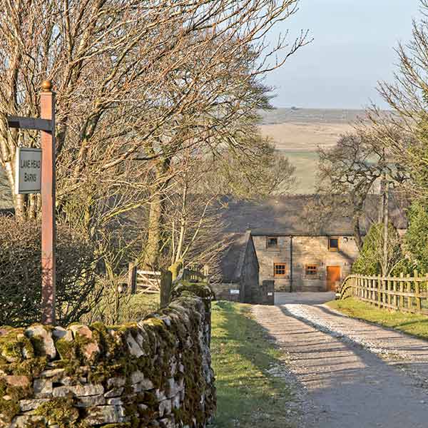 Drive lane head barns