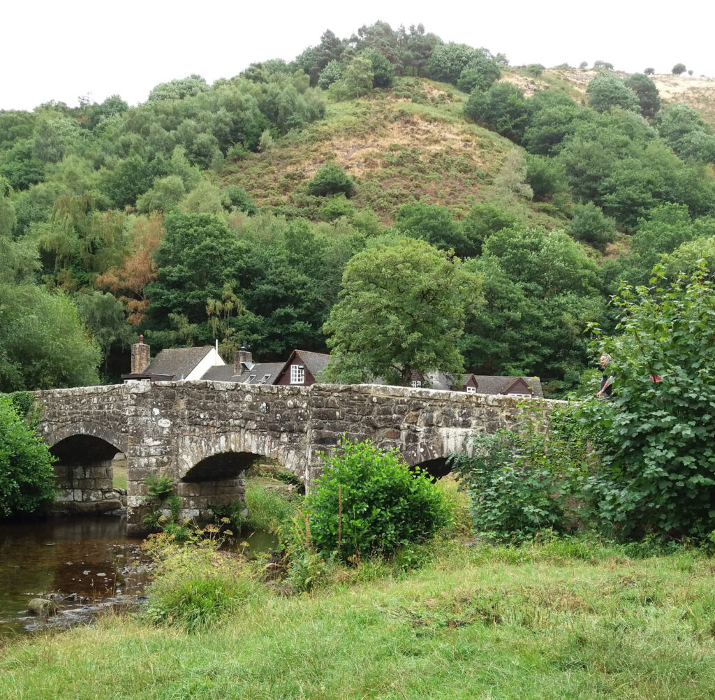 Fingle Bridge