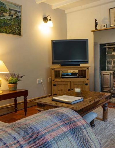 Living Area with Fireplace