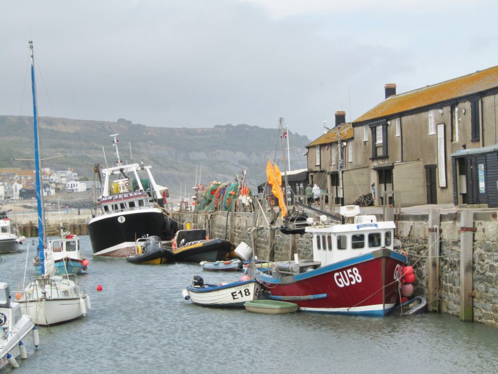 Lyme Regis harbour