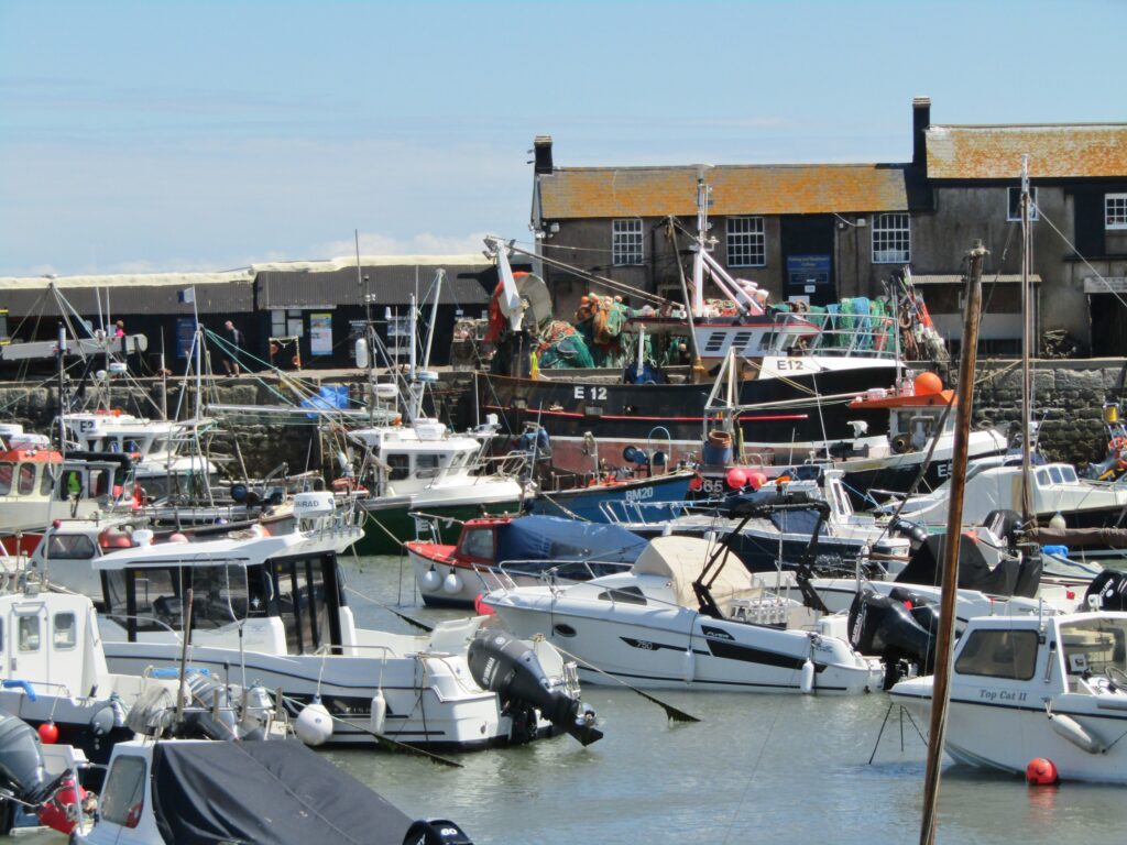 Lyme Regis harbour