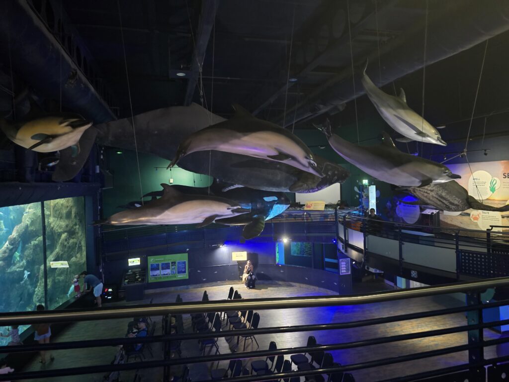 National Marine Aquarium Plymouth