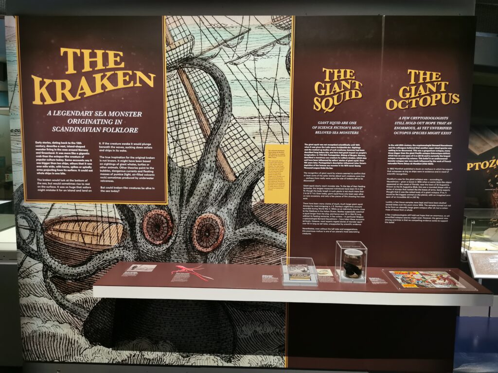 National Maritime Museum Cornwall