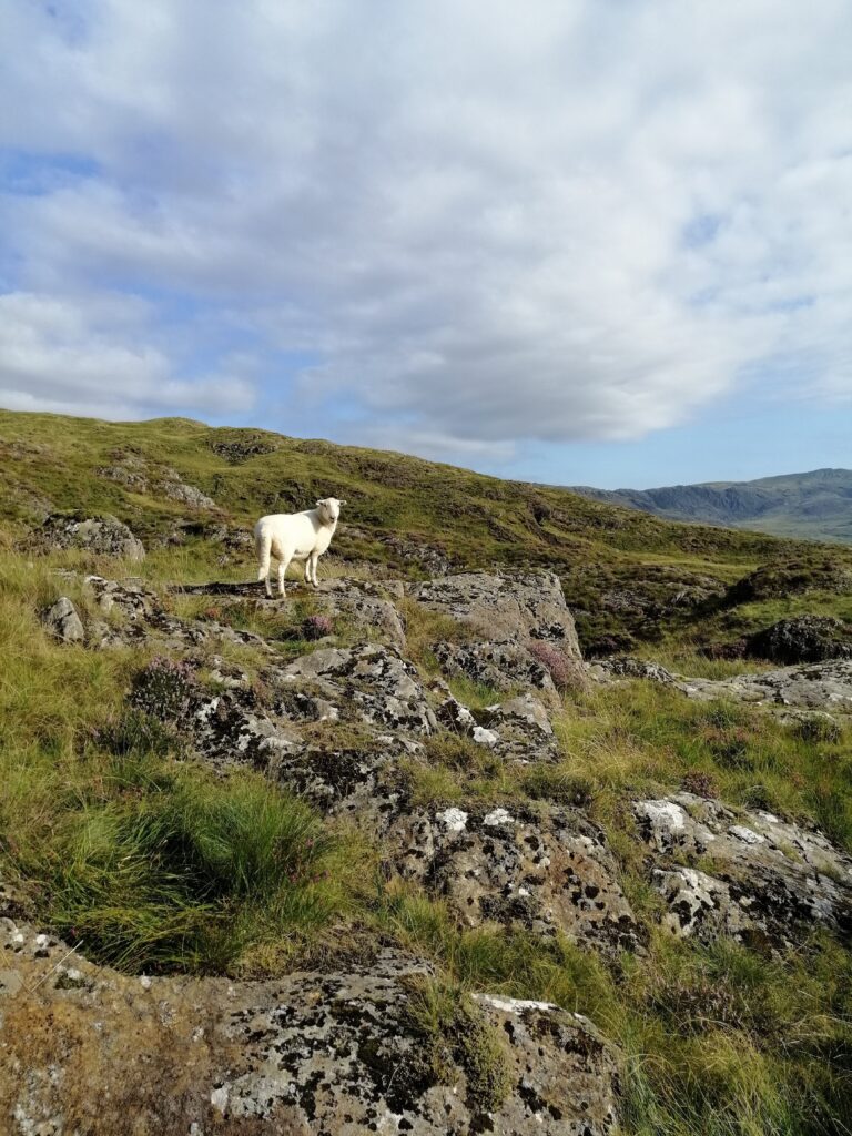 Snowdonia National Park