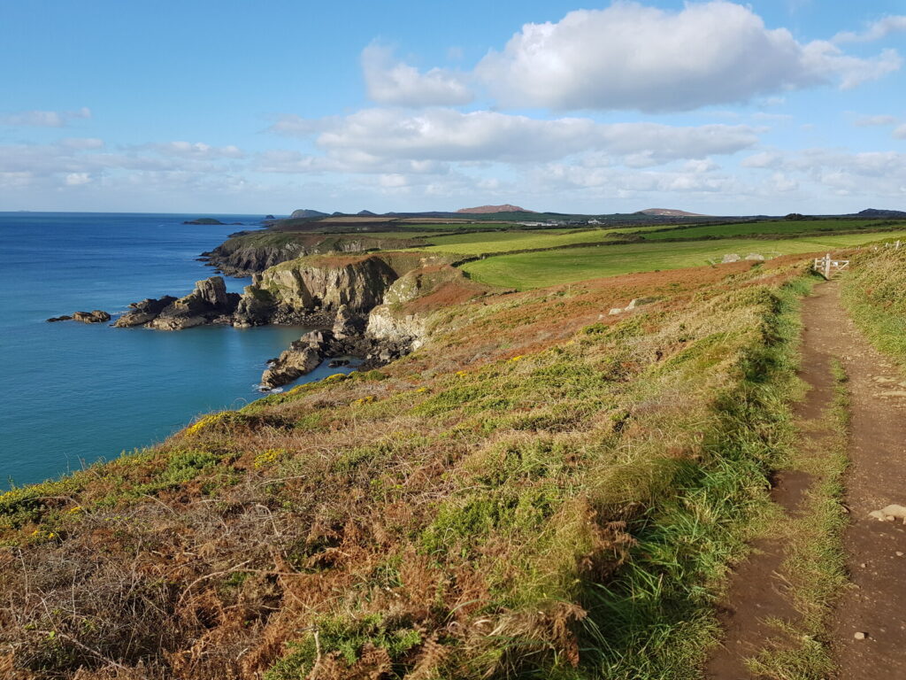 St Davids coast