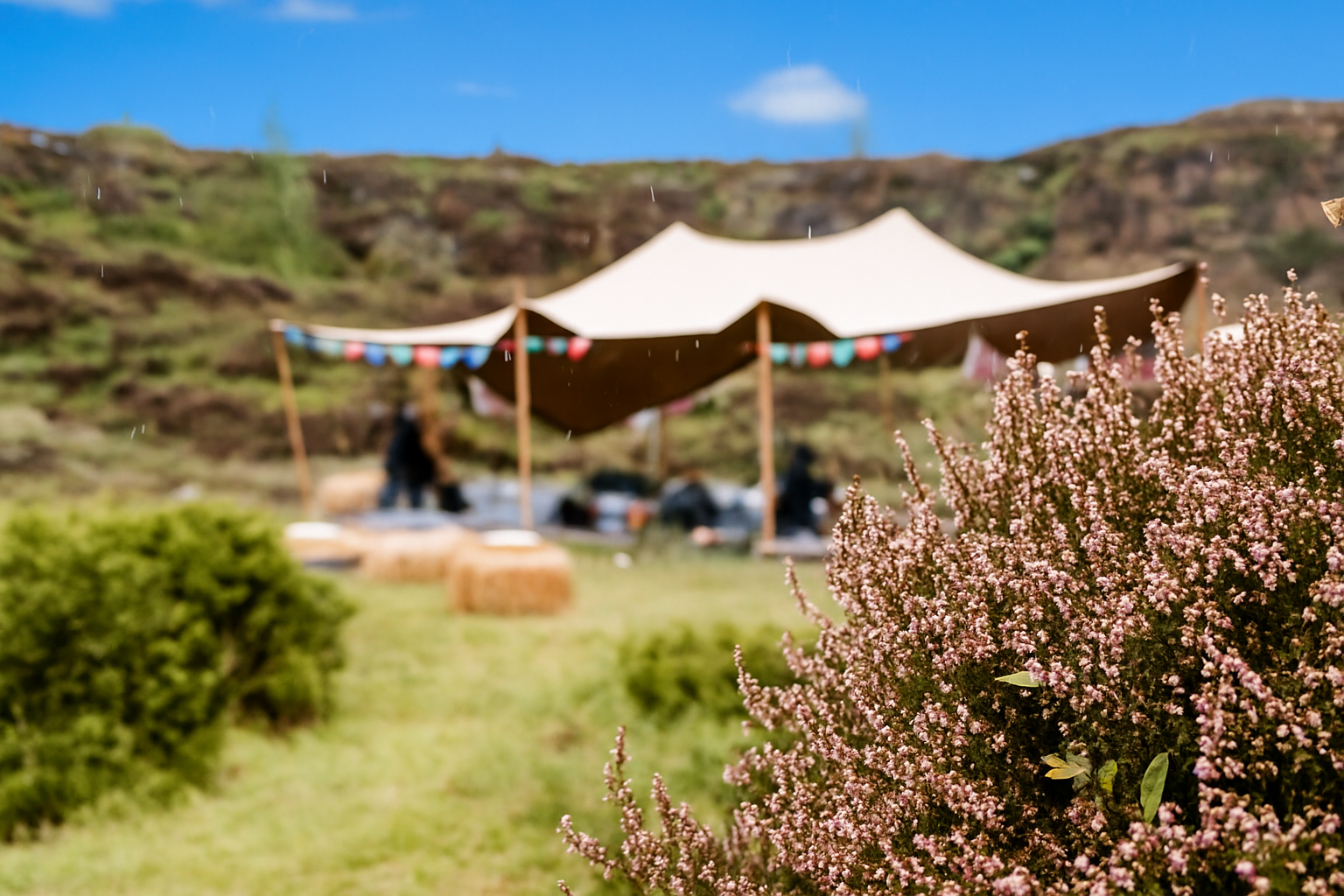 Tent set up