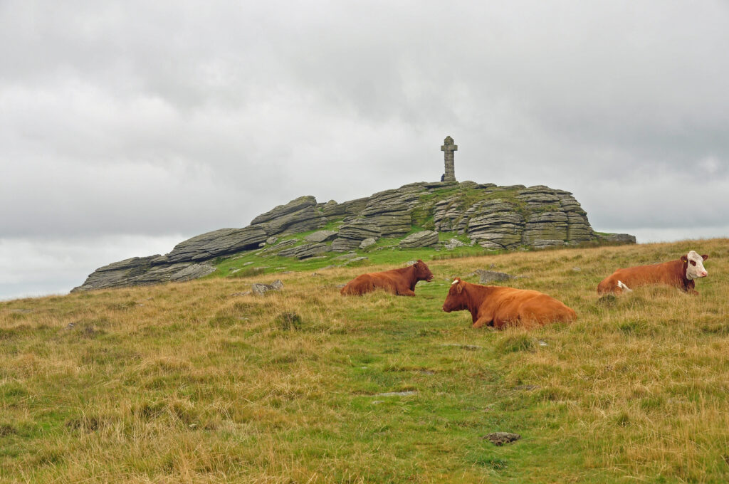 Widgery Cross Dartmoor